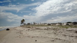 IMG_20160110_143725756